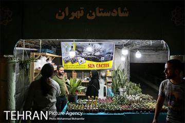 ویژه برنامه فرهنگی کوچه های تهران 11