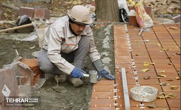 مراحل احداث پروژه ی باغ باهنر 8