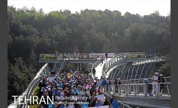 همایش پیاده روی خانوادگی کارکنان شهرداری 14