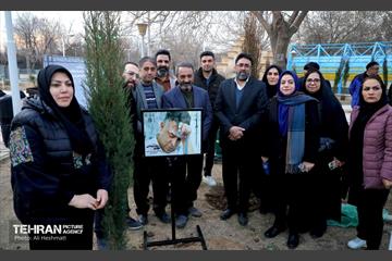 جشن درختکاری در منطقه 18 13