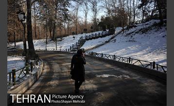 فصل زمستان در بوستان ملت 50