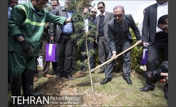 مراسم درختکاری مرکز مدیریت محیط زیست و توسعه پایدار 25