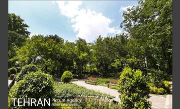 باغ ایرانی 24