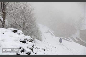 بارش برف زمستانی در تهران 13