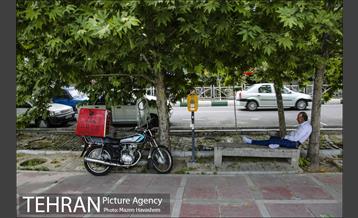 بوستان ساعی 2