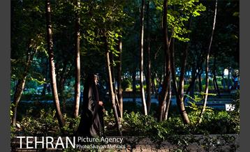 بوستان باغ ایرانی 35