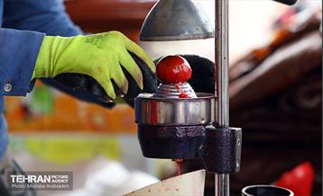 جشنواره انار «صد دانه یاقوت» 8