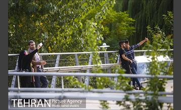 پل طبیعت در اولین روزهای پاییزیی 20