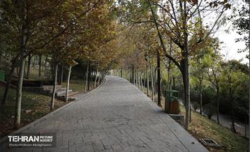 طبیعت پاییزی باغ راه فدک تهران 28
