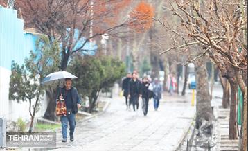 بارش باران زمستانی در تهران 17