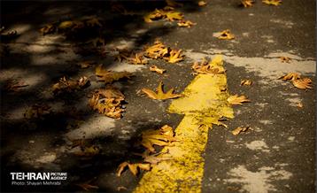 سمفونی رنگ های پاییزی - بوستان رازی 7