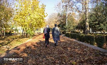 گذرگاه های پاییزی پایتخت - منطقه 14