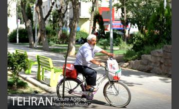 بوستان هفت چنار 15