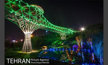 به مناسبت ده سالگی پل طبیعت 18