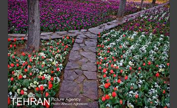 جشنواره لاله‌ها در بوستان زندگی محله هرندی 10