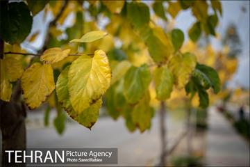 پاییز زیبای پایتخت- 3
