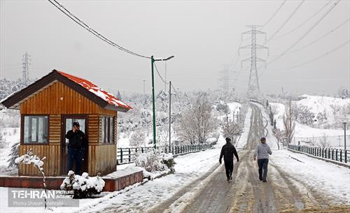 روز برفی پایتخت 20