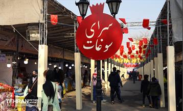 جشنواره انار «صد دانه یاقوت» 29