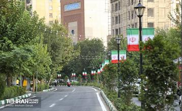 رفیوژ های همیشه سبز 14