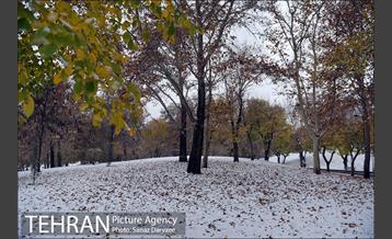 بارش برف پاییزی در تهران 27