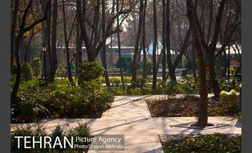 پاییز باغ ایرانی 16