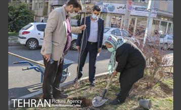 جشن نهال هاى کوچک شهر و تخم مرغ هاى رنگى در منطقه ٩