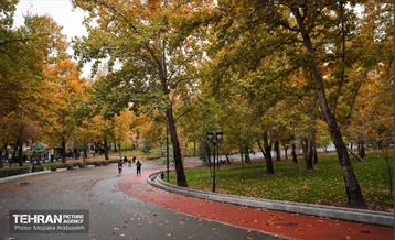 سمفونی رنگ های پاییزی - پارک ملت 24