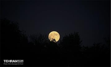 رصد «ماه خونین» از پل طبیعت 15