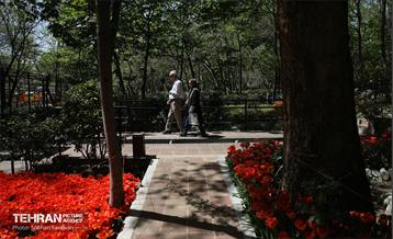 باغ ایرانی میزبان لاله‌ها 44