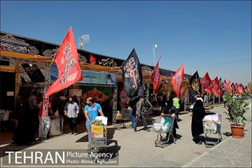 استقبال از نمایشگاه فرهنگی عطر سیب 29