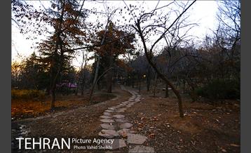 بوستان جمشیدیه 22