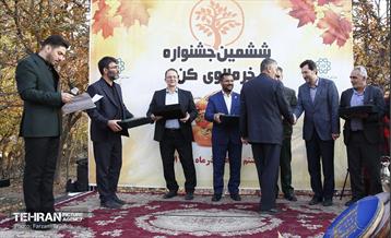 ششمین جشنواره خرمالو 6