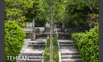 بوستان نیاوران 18