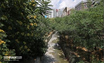 مسیل رودخانه ولنجک