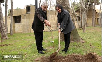 کاشت درخت توسط هنرمندان در فرهنگسرای نیاوران 13