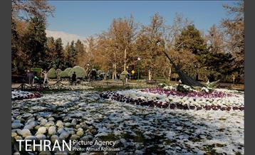 پاییز برفی پارک ملت 8