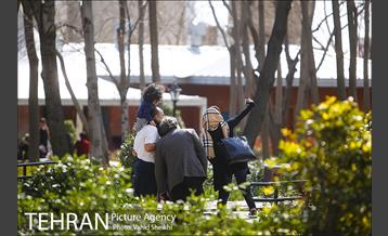 رویش گل های لاله در باغ ایرانی 29