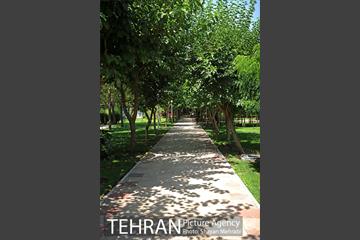 بوستان تمدن (گلبرگ) 9