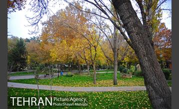 پاییز در بوستان ملت 8