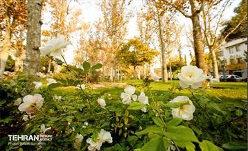 گذرگاه های پاییزی پایتخت - منطقه 13