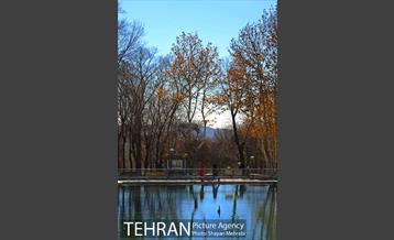 بوستان پلیس 11