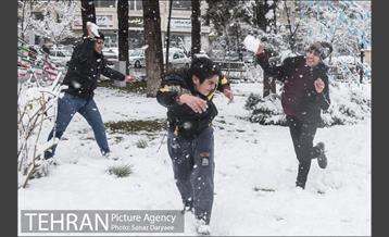 بارش برف در میدان نبوت (هفت حوض) 35