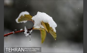 برف زمستانی پارک جمشیدیه 8