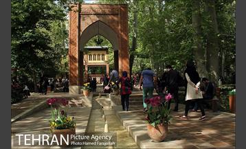 لاله های بهاری بوستان مختاری 13