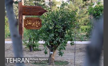 باغ راز هستی 20