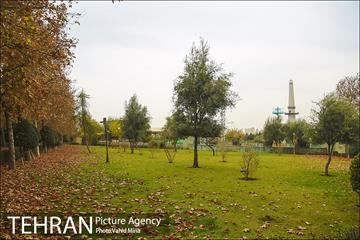 پاییز در بوستان رازی 9