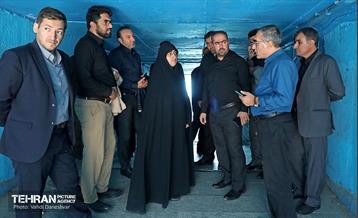 بازدید عضو کمیسیون اجتماعی و فرهنگی شورا از منطقه 17 6