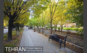 طبیعت پاییزی بلوار کشاورز 17