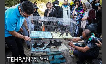 آزادسازی پرندگان و جمع آوری زباله در پارک جنگلی خجیر 3