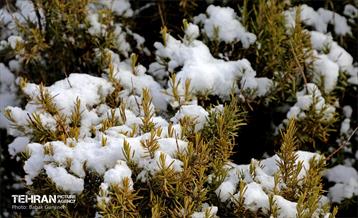 روز برفی در منطقه 13 25